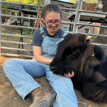 Celebrate with Cows! Group Cow Cuddle Sessions for Parties & Events in Brandywine image 1