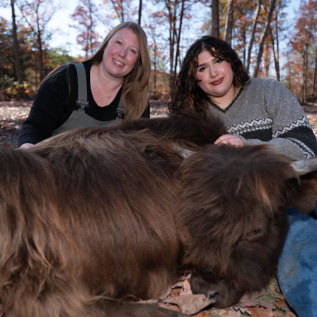 Celebrate with Cows! Group Cow Cuddle Sessions for Parties & Events in Brandywine image 7