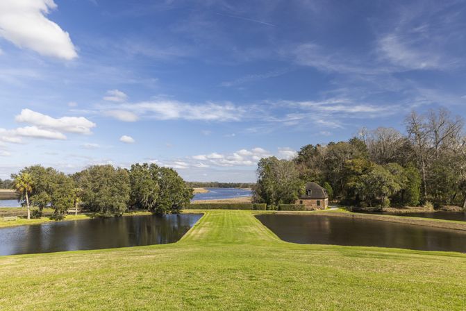 Middleton Place Tour image 4