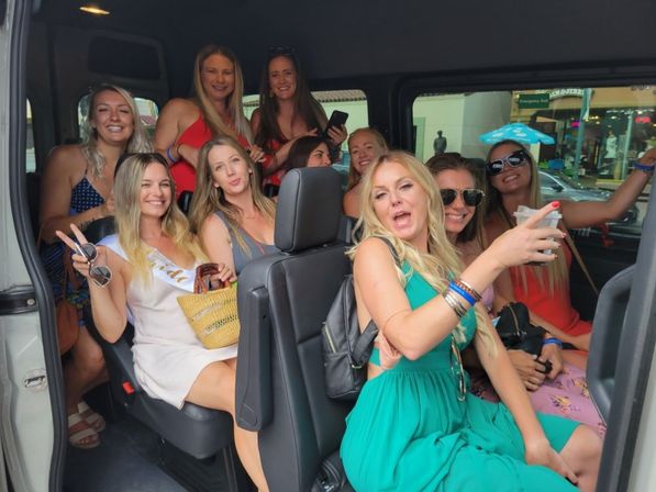 Private Luxury Sprinter Shuttle: Chauffeured Service / As Directed / All SoCal Airports or Palm Springs-Based Parties image 5