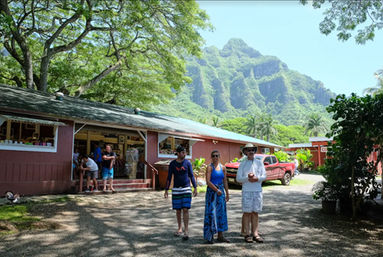 Oahu Ultimate Circle Island Bus Tour: Sea Turtles + Snorkeling, Macadamia Nut Farm, Dole Plantation & More image 1