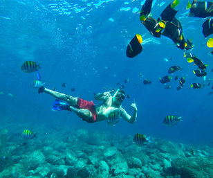 Private Catamaran Tour to Isla Mujeres: Captain, Crew, Snorkeling, Beach Club + Open Bar image 5