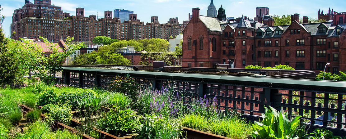 Walking Tour of NYC’s Vibrant History, Architecture & Diversity image 8