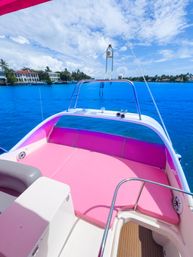 Vibrant pink boat sunpad and seating overlooking turquoise water, palm-lined waterfront homes and a sunny blue sky.