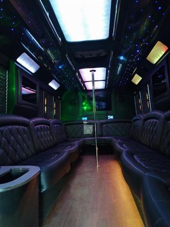 Luxury Party Bus Rental: Ultimate Group Transportation & Entertainment image 5