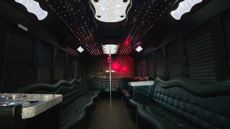 Luxury Party Bus Rental: Ultimate Group Transportation & Entertainment image 7