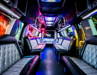Luxury Party Bus Rental: Ultimate Group Transportation & Entertainment image