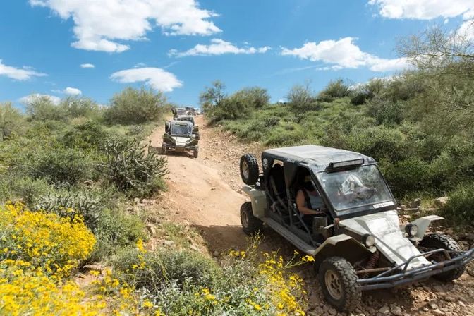 Half-Day Tomcar ATV Tour image 11