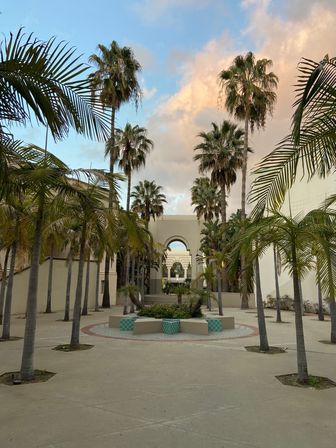 Beverly Hills Walking Food Tour with Gourmet Tastings and 2 Drinks image 15