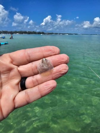 Shellebrate the Groom: Bachelor Boat Cruise with Bar Hopping & Cigars image 22