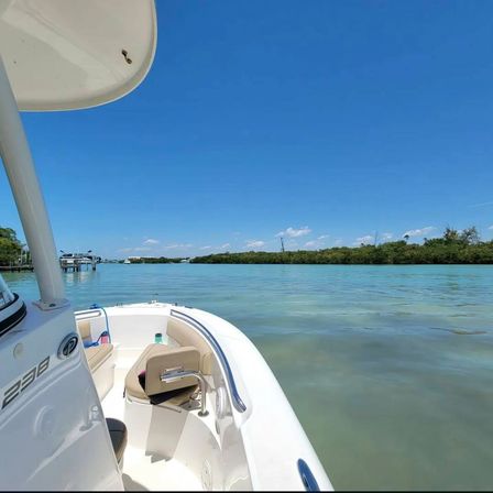 Shellebrate the Groom: Bachelor Boat Cruise with Bar Hopping & Cigars image 11