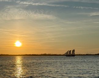 Golden Hour on the Water: Private Sunset Party Cruise image 4