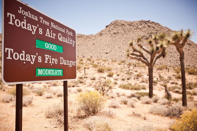 Creative Soul of Joshua Tree Scavenger Hunt: Day Trip from Palm Springs image 7