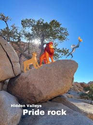 Creative Soul of Joshua Tree Scavenger Hunt: Day Trip from Palm Springs image 8