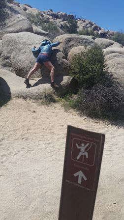 Creative Soul of Joshua Tree Scavenger Hunt: Day Trip from Palm Springs image 3