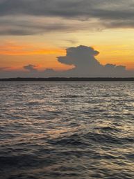 Custom Cruises for Groups: Sunset Dolphin Tour or Daufuskie Island Excusion image 11