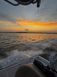 Custom Cruises for Groups: Sunset Dolphin Tour or Daufuskie Island Excusion image 10