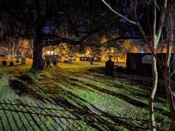 Hell Cat Ghost Tour - Savannah's Haunts and Horror with Local Guide image 7