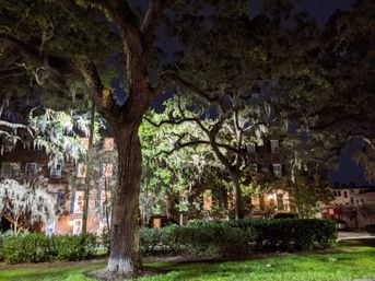 Hell Cat Ghost Tour - Savannah's Haunts and Horror with Local Guide image 6