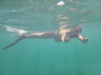 Beginner-Friendly Island Paddleboarding & Snorkeling Experience in North Miami image 8