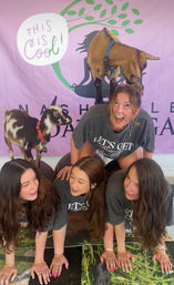 Goat Yoga Group Class on the Farm at Nashville Horse and Goat Yoga image