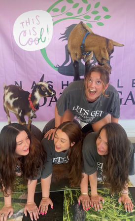 Goat Yoga Group Class on the Farm at Nashville Horse and Goat Yoga image 1