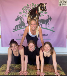 Goat Yoga Group Class on the Farm at Nashville Horse and Goat Yoga image