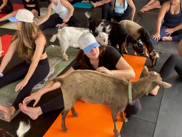 Goat Yoga Group Class on the Farm at Nashville Horse and Goat Yoga image 18