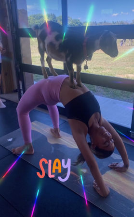 Goat Yoga Group Class on the Farm at Nashville Horse and Goat Yoga image 8