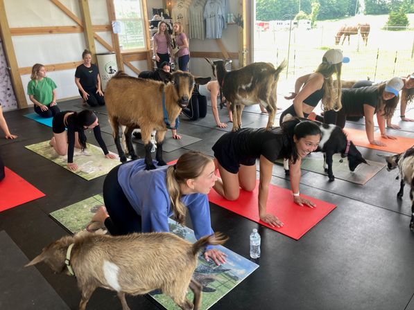 Goat Yoga Group Class on the Farm at Nashville Horse and Goat Yoga image 9