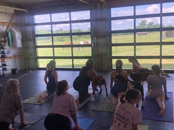Goat Yoga Group Class on the Farm at Nashville Horse and Goat Yoga image 8