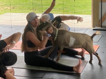 Goat Yoga Group Class on the Farm at Nashville Horse and Goat Yoga image 18