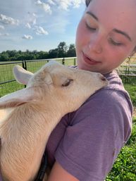 Goat Yoga Adorable Party with Cuddling Optional at Serene Family Farm image 6