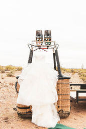 Hot Air Balloon Ride with Champagne, Stunning Views of the Sonoran Desert and Custom Banner & Photographer Add-ons image 9