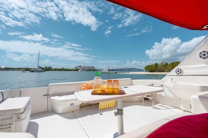 Private Iconic Yacht Party BYOB Cruise on 55’ Luxury Yacht with Captain and Stewardess image 23