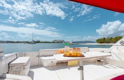 Private Iconic Yacht Party BYOB Cruise on 55’ Luxury Yacht with Captain and Stewardess image 19