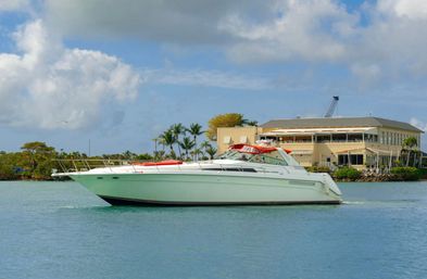 Private Iconic Yacht Party BYOB Cruise on 55’ Luxury Yacht with Captain and Stewardess image 25