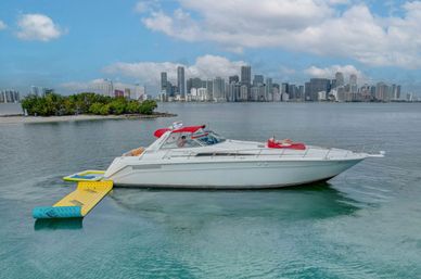 Private Iconic Yacht Party BYOB Cruise on 55’ Luxury Yacht with Captain and Stewardess image 10