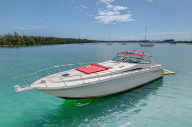 Private Iconic Yacht Party BYOB Cruise on 55’ Luxury Yacht with Captain and Stewardess image 15