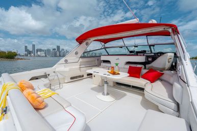 Private Iconic Yacht Party BYOB Cruise on 55’ Luxury Yacht with Captain and Stewardess image 24