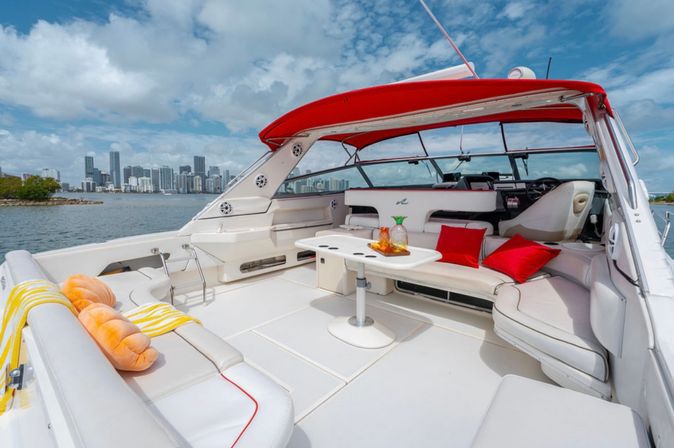 Private Iconic Yacht Party BYOB Cruise on 55’ Luxury Yacht with Captain and Stewardess image 24