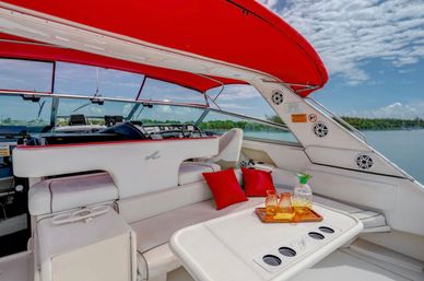 Private Iconic Yacht Party BYOB Cruise on 55’ Luxury Yacht with Captain and Stewardess image 22