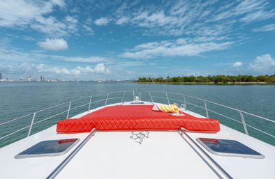 Private Iconic Yacht Party BYOB Cruise on 55’ Luxury Yacht with Captain and Stewardess image 26