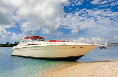 Private Iconic Yacht Party BYOB Cruise on 55’ Luxury Yacht with Captain and Stewardess image 34