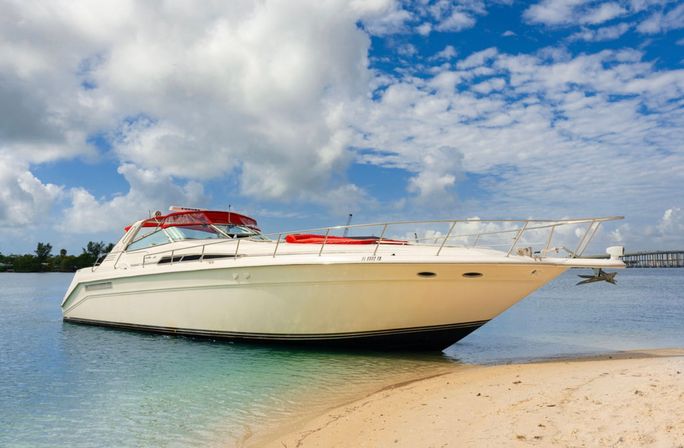 Private Iconic Yacht Party BYOB Cruise on 55’ Luxury Yacht with Captain and Stewardess image 34