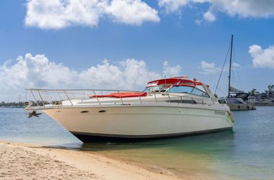 Private Iconic Yacht Party BYOB Cruise on 55’ Luxury Yacht with Captain and Stewardess image 37