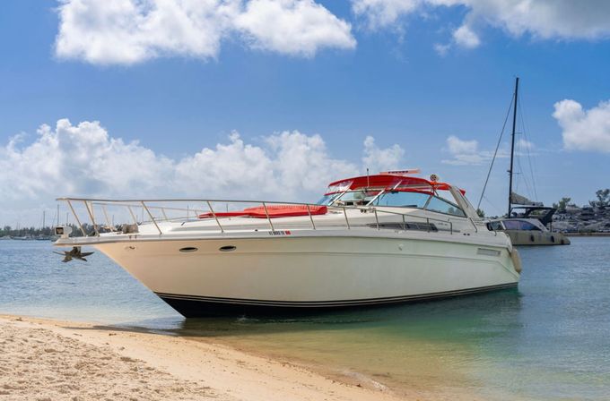 Private Iconic Yacht Party BYOB Cruise on 55’ Luxury Yacht with Captain and Stewardess image 37