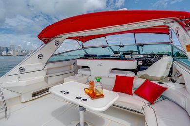 Private Iconic Yacht Party BYOB Cruise on 55’ Luxury Yacht with Captain and Stewardess image 21
