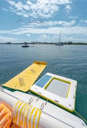 Private Iconic Yacht Party BYOB Cruise on 55’ Luxury Yacht with Captain and Stewardess image 29