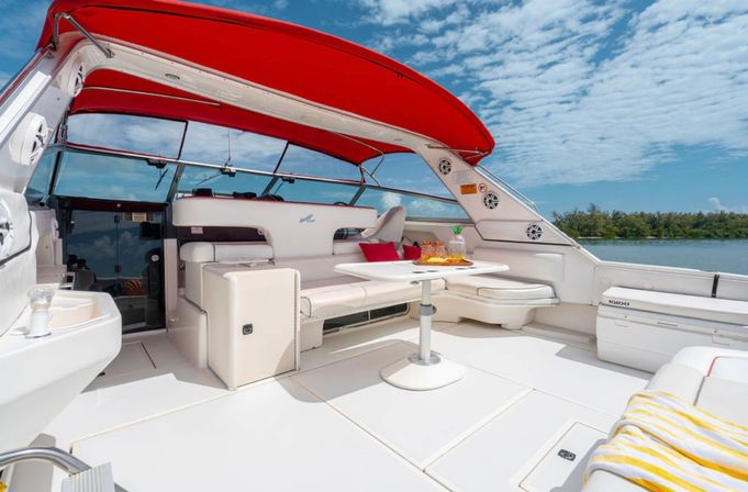 Private Iconic Yacht Party BYOB Cruise on 55’ Luxury Yacht with Captain and Stewardess image 28